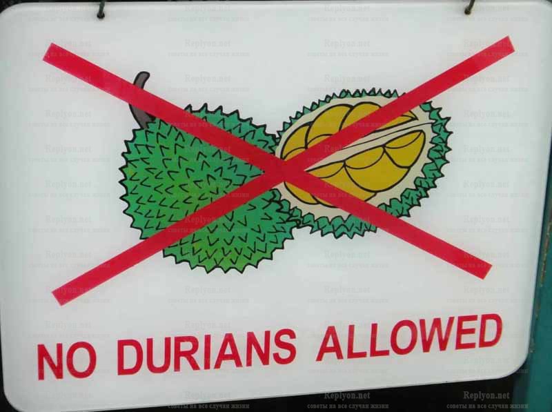 Табличка NO Durian