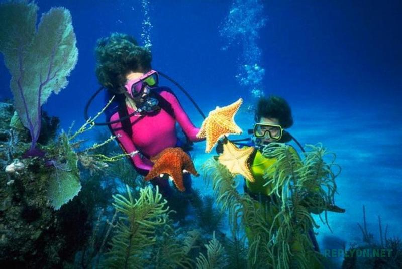 Снорклинг в Красном море зимой в Египте
