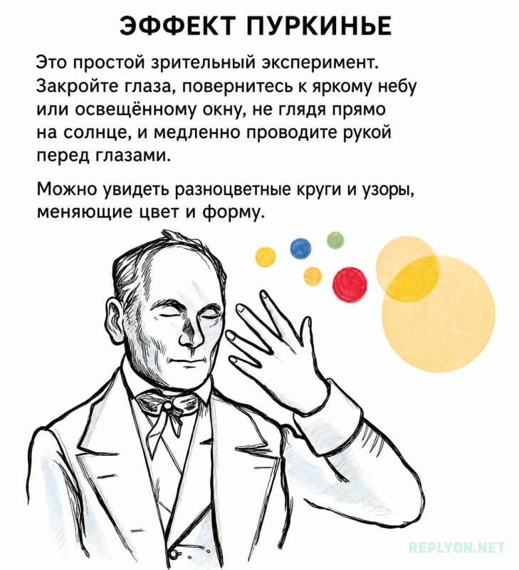 Опыт с обманом мозга - Эффект Пуркинье