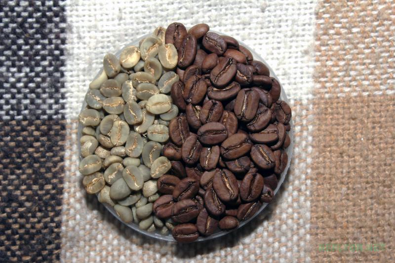 Зерна Kopi Luwak после обжарки